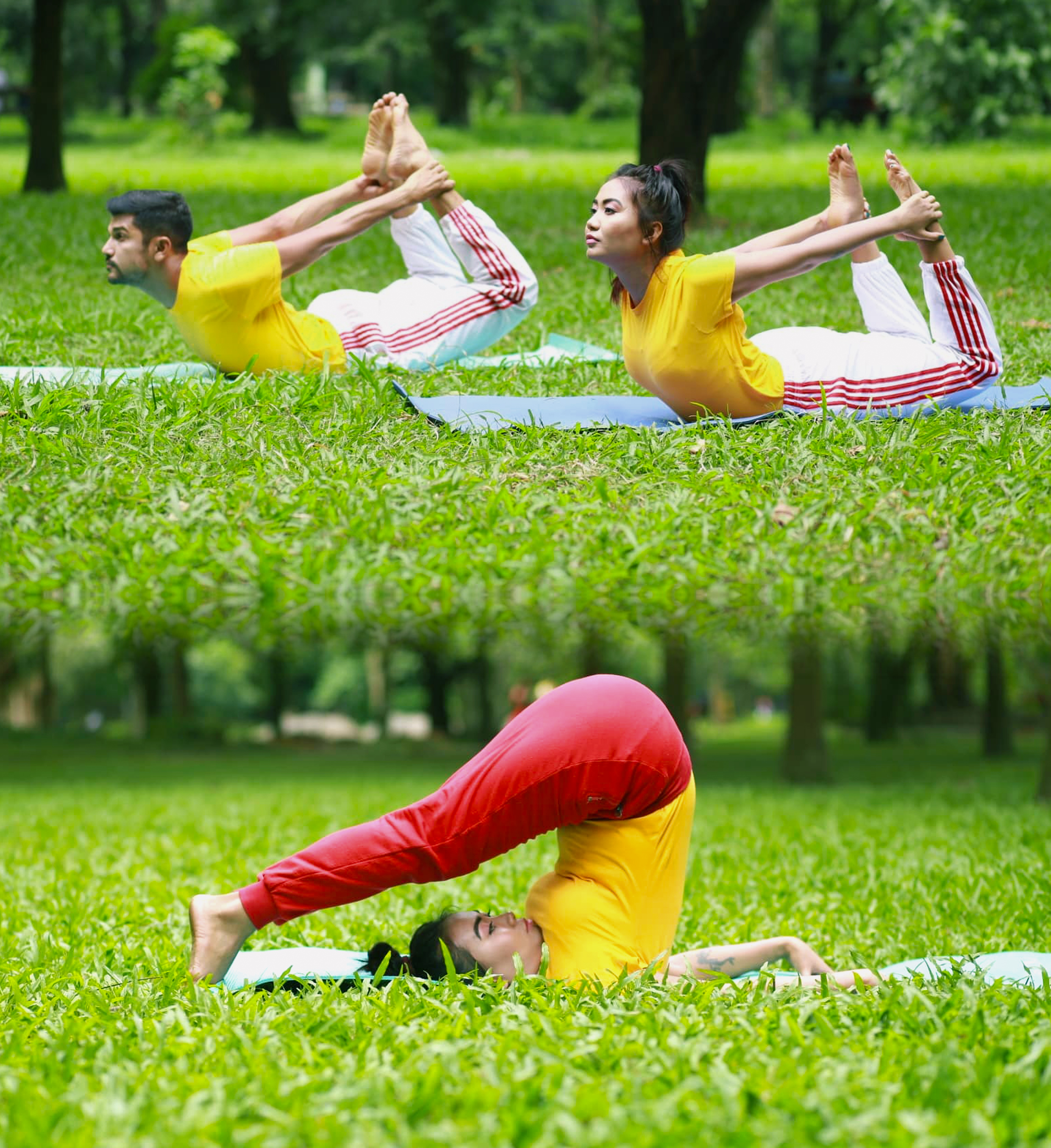 Therapeutic Yoga